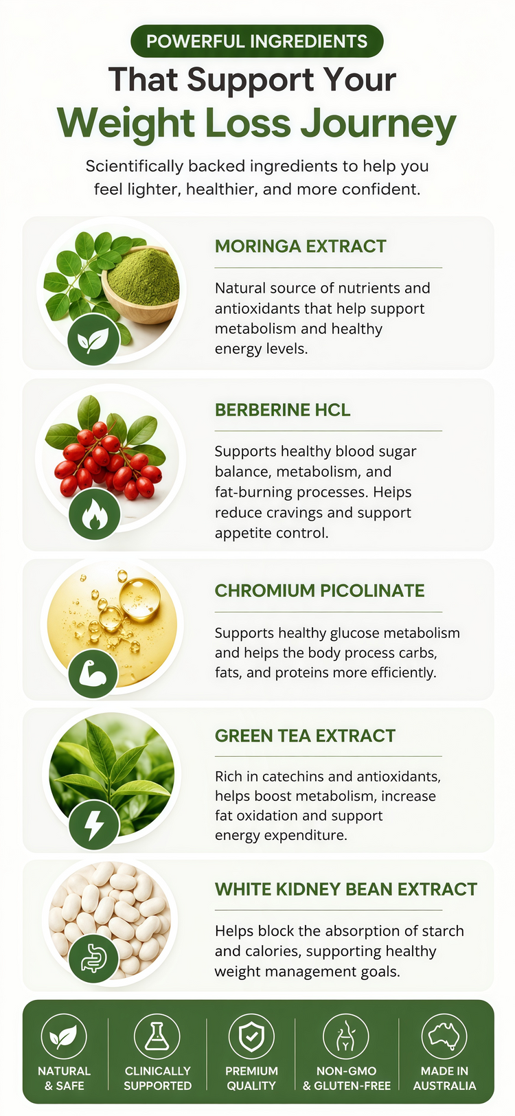 Powerful Ingredients That Support Your Weight Loss Journey - 手机版横幅