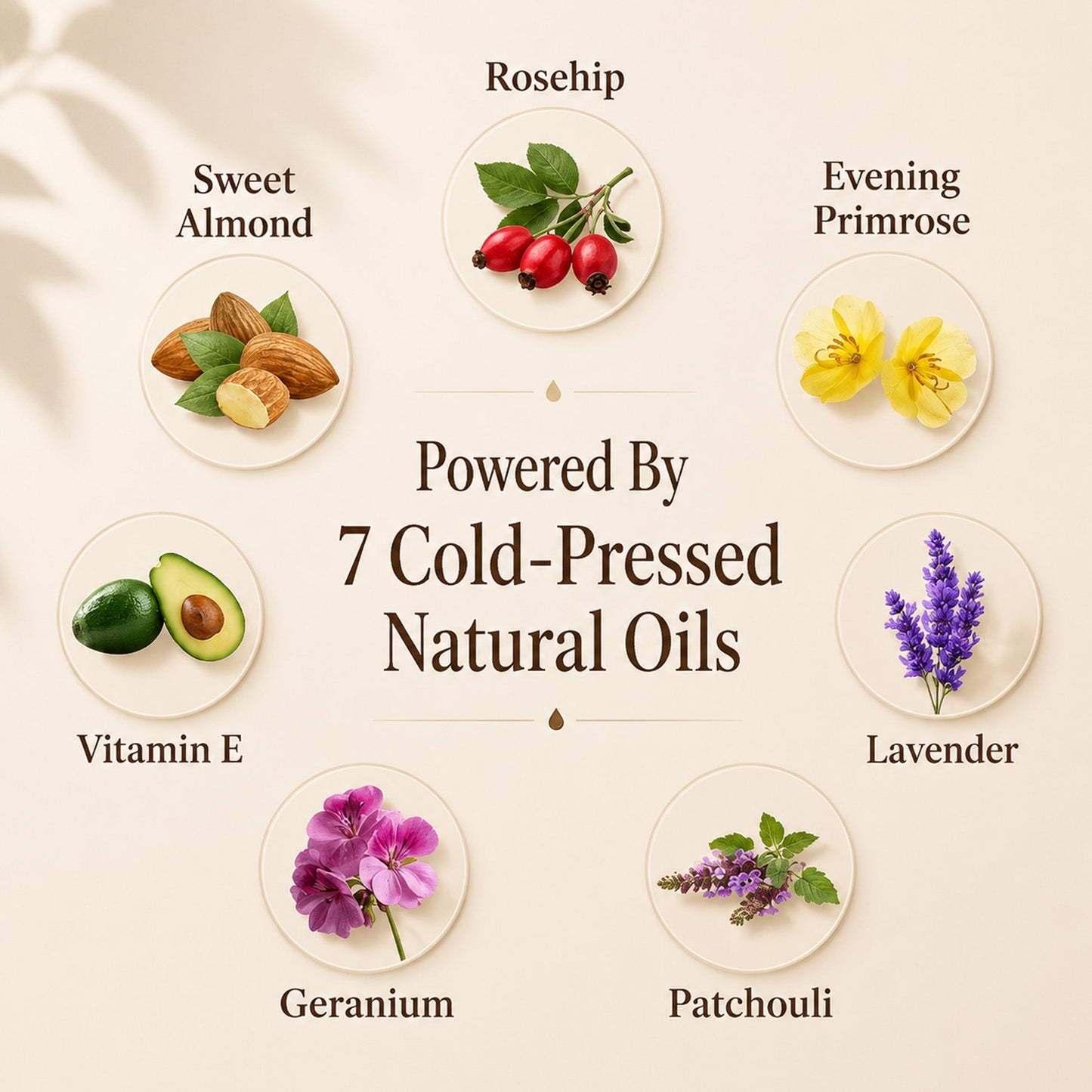 OUR+ Glow Body Oil 100ml