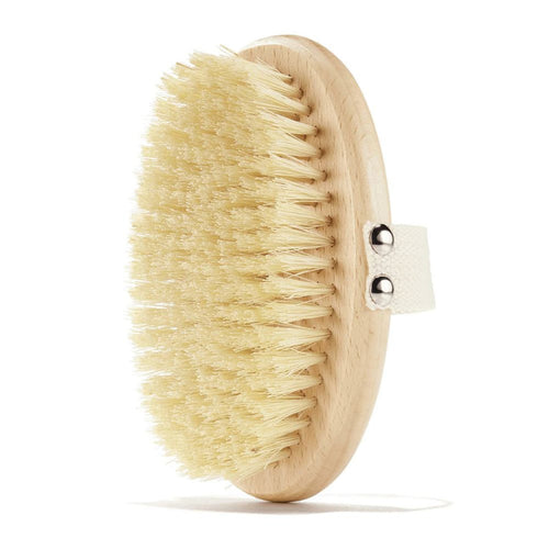 OUR+ Dry Brush