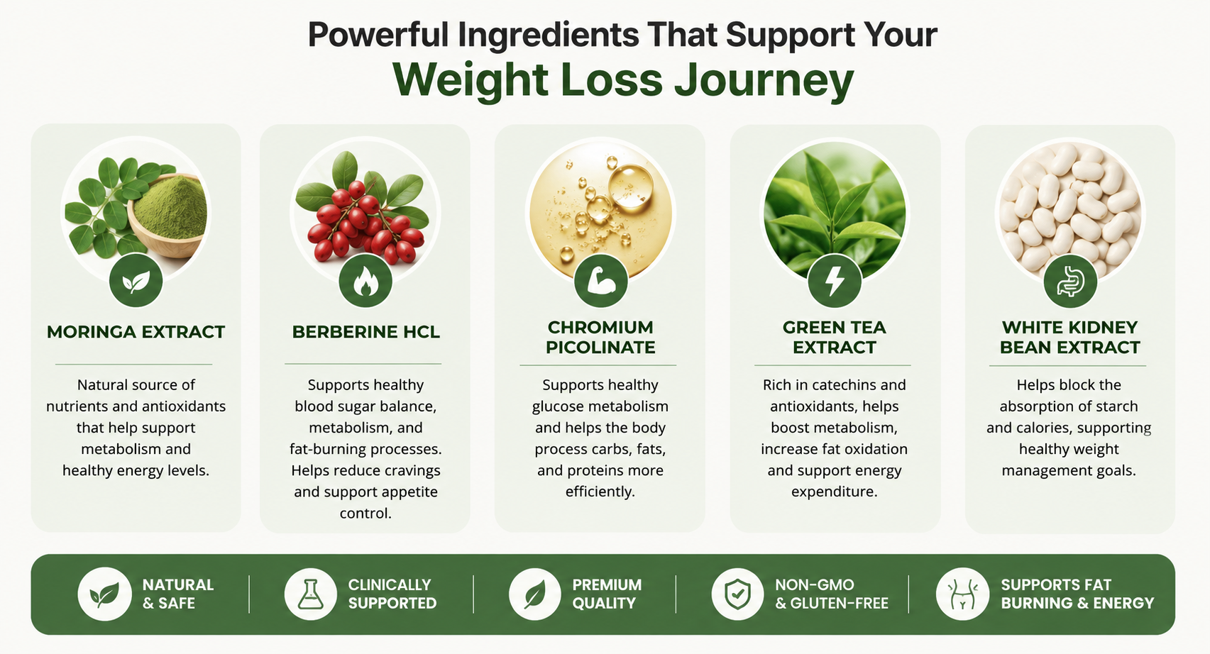 Powerful Ingredients That Support Your Weight Loss Journey