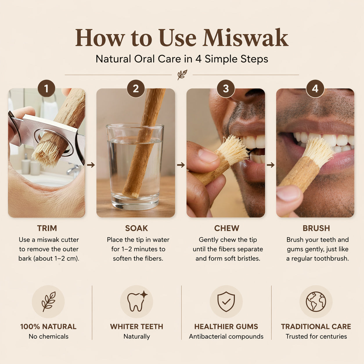 Miswak - Nature's Original Toothbrush