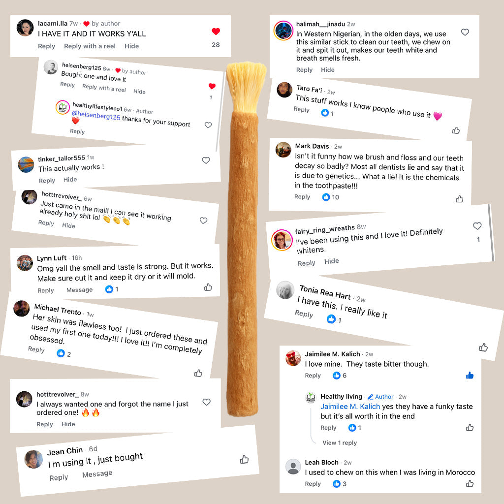 Miswak - Nature's Original Toothbrush